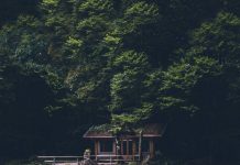 The Travel Insurance Catch that can Double Your Cover in Two Months