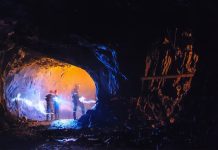 Paradigm Picks Newsletter (BLLG)